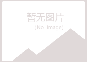 平昌县冬灵金属有限公司